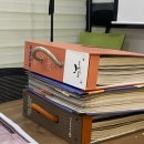 [신혼일기] 서울 수도권 24평 아파트 도배 견적 || 도배청년단 마곡본점 || 디아망리얼회벽