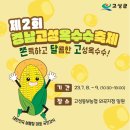 명품옥수수+ 이미지