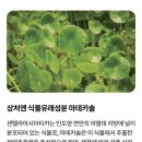 유진약국 이미지