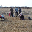 연성동주민센터 이미지