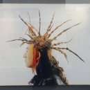 제이헬렌