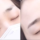 모아헤어그린