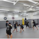 주짓수&엠엠에이 이미지