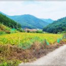 산유장 이미지