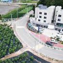 바닷가 하얀목화밭 이미지