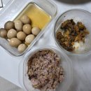 46호공원 | 밥밥밥 밥을 먹읍시다(3)🍴 251103~251109