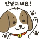 김미경 동물병원 이미지