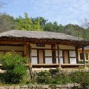 완도22호 이미지