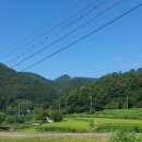 김종호농장 이미지