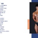 깨움피티 이미지