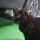 서초대로4길 73 | 블챌 7주차