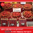 삼일청과