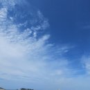 원플러스원 공인중개사사무소 이미지