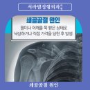 서라벌정형외과 이미지