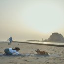 아름다운이별 이미지