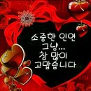 금마차 이미지