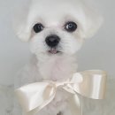 산호동457 이미지