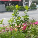 동준이 농장 이미지