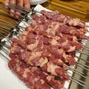 뚱이양꼬치 이미지