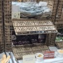 배드펫컴퍼니 이미지