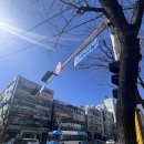 좌동지구대 앞 이미지