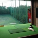 외동반림로-4 이미지