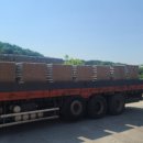 송정동-25 이미지