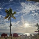 호우농장 | 11월 하와이여행 Day.3 에그앤띵스/베이빈 디저트바/호우말루히아 식물원/코스트코/비치하우스 엣더 모아나