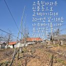 산너울농원 이미지