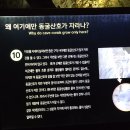 고씨굴 이미지