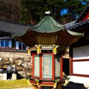 수림사