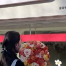 스윗시그널(sweet signal) 이미지