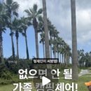 셀티스