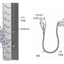 금정건설 이미지