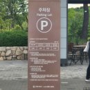 프린트 2380 | 수원 가볼만한곳 일월수목원 야간개장 운영시간 및 방문 후기