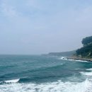 장애인 행복쉼터 | 제주도 서쪽 아이랑 갈만한 곳 서귀포 잠수함 예약, 시간표, 할인 팁 내돈내산 후기 : )