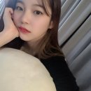 지헌