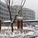 영등포여자고등학교 이미지