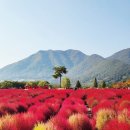 낙동강변25 이미지