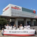 제주 할리데이 이미지