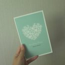 웨딩플래너 상담 받아보기 - 제이웨딩, 와이즈웨딩 / 황세진 플래너님 계약 후기