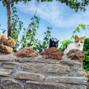 한국폴리텍 VII 대학 울산캠퍼스 이미지