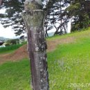 전사벌왕릉 이미지