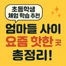 다둥이네 학습놀이터 | 초등학생 체험 학습 추천, 엄마들 사이 요즘 핫한 곳!