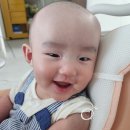 분당제일여성병원 신생아 예방접종 후기 (BCG 피내용 경피용 비교)