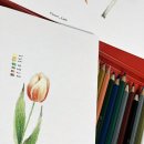 하루의 시작, 펜&수채 일러스트 네이버블로그
