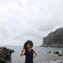 소셜다이버 이미지