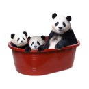 개를 미용하는 남자 이미지