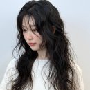 아치헤어