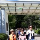봉평메밀마을 - 동구 | 봉평메밀마을